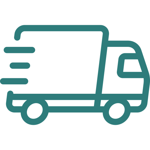 express delivery